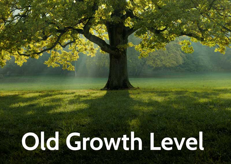 old growth level